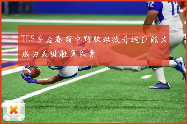 TES季后赛前中野联动提升适应能力成为关键胜负因素
