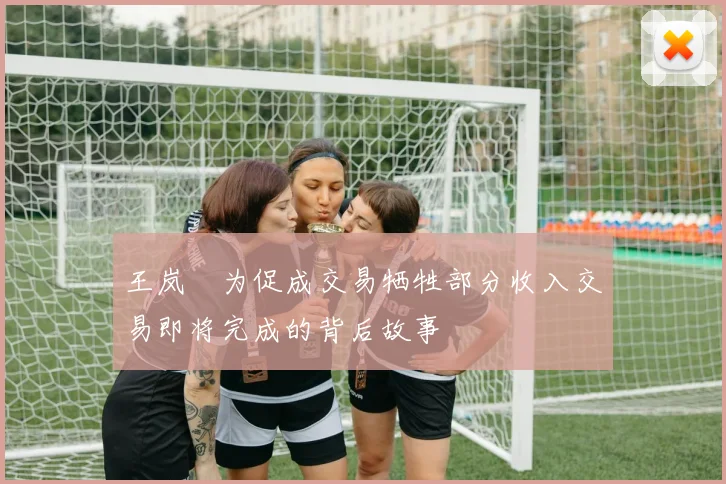 王岚嵚为促成交易牺牲部分收入交易即将完成的背后故事